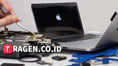 batch 1775297548 article 179 watermarked