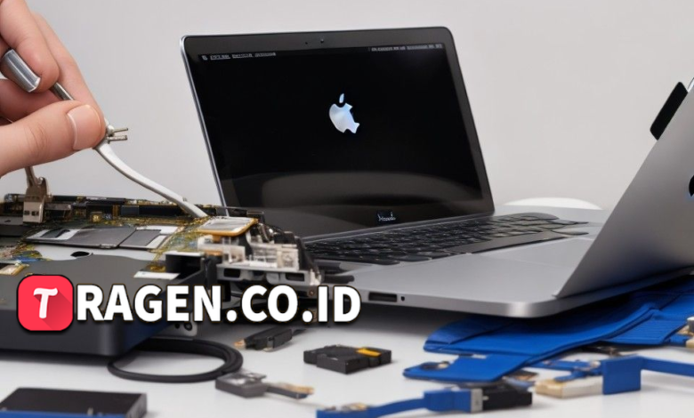 batch 1775297548 article 179 watermarked