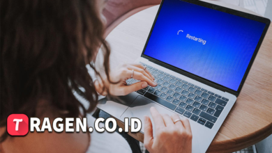 batch 1775297548 article 183 watermarked