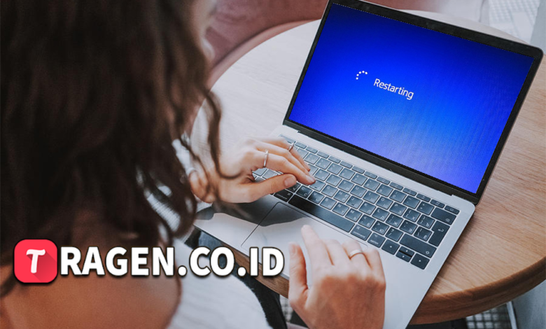 batch 1775297548 article 183 watermarked