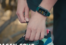 batch 1775297548 article 184 watermarked