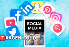 batch 1775297548 article 190 watermarked