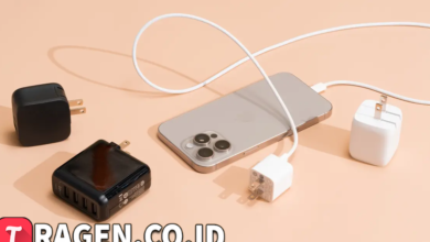 batch 1775297548 article 191 watermarked