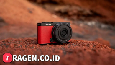 batch 1775297548 article 199 watermarked