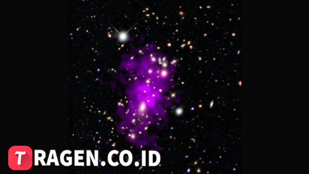 batch 1775297548 article 1 watermarked