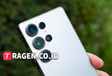 batch 1775297548 article 1 watermarked 2