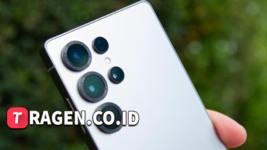 batch 1775297548 article 1 watermarked 2