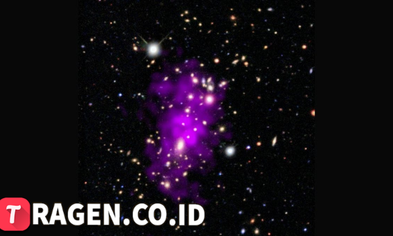 batch 1775297548 article 1 watermarked