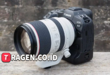 batch 1775297548 article 204 watermarked