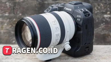 batch 1775297548 article 204 watermarked