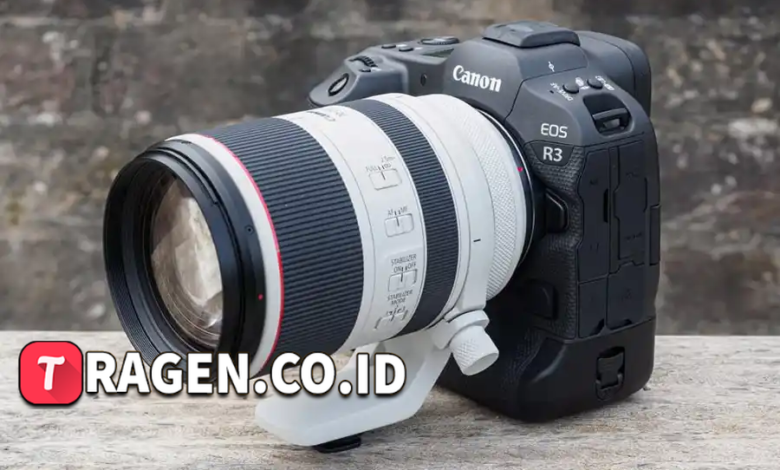 batch 1775297548 article 204 watermarked