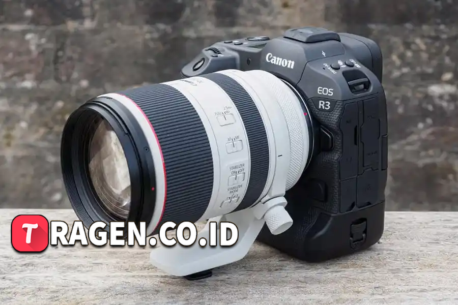 batch 1775297548 article 204 watermarked