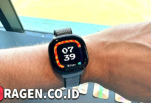 batch 1775297548 article 205 watermarked