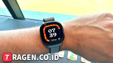 batch 1775297548 article 205 watermarked