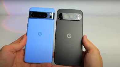 batch 1775297548 article 207 watermarked