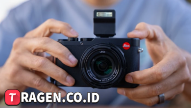 batch 1775297548 article 209 watermarked