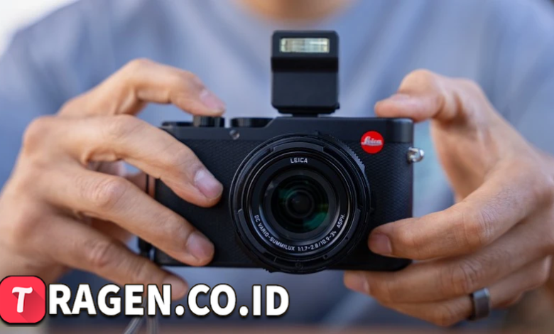 batch 1775297548 article 209 watermarked