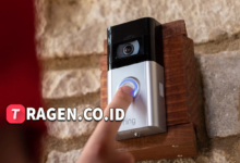 batch 1775297548 article 20 watermarked 1