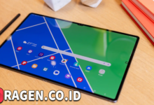 batch 1775297548 article 211 watermarked