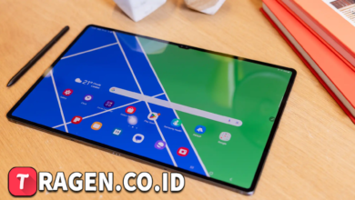 batch 1775297548 article 211 watermarked