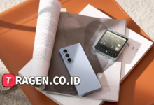 batch 1775297548 article 213 watermarked