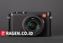 batch 1775297548 article 215 watermarked