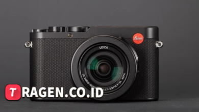 batch 1775297548 article 215 watermarked