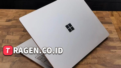 batch 1775297548 article 217 watermarked