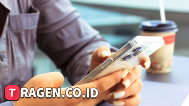 batch 1775297548 article 221 watermarked