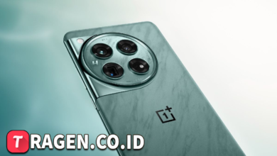 batch 1775297548 article 226 watermarked