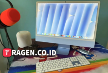 batch 1775297548 article 227 watermarked