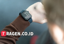 batch 1775297548 article 229 watermarked