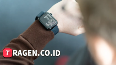 batch 1775297548 article 229 watermarked