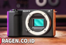 batch 1775297548 article 231 watermarked