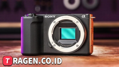 batch 1775297548 article 231 watermarked