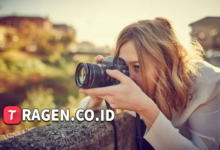 batch 1775297548 article 232 watermarked