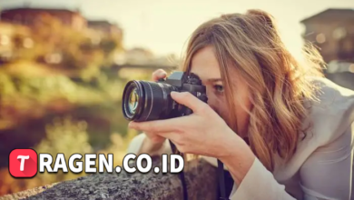 batch 1775297548 article 232 watermarked