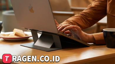 batch 1775297548 article 233 watermarked