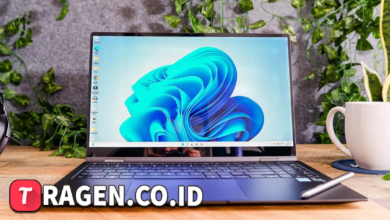 batch 1775297548 article 234 watermarked