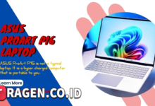 batch 1775297548 article 239 watermarked