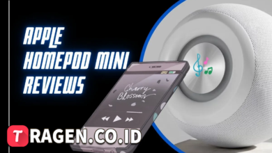 batch 1775297548 article 240 watermarked