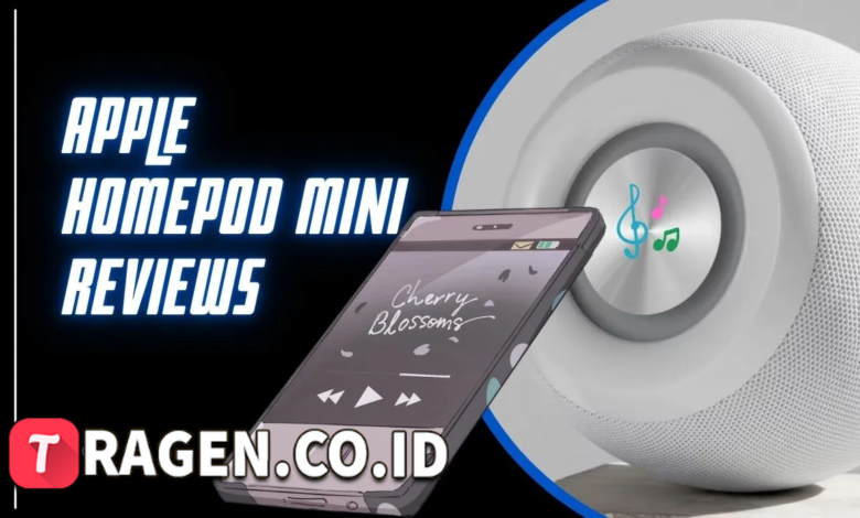 batch 1775297548 article 240 watermarked