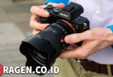 batch 1775297548 article 243 watermarked