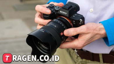 batch 1775297548 article 243 watermarked