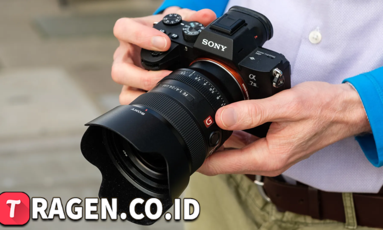 batch 1775297548 article 243 watermarked