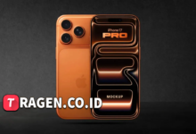 batch 1775297548 article 244 watermarked