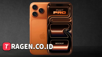 batch 1775297548 article 244 watermarked