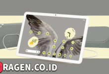 batch 1775297548 article 245 watermarked