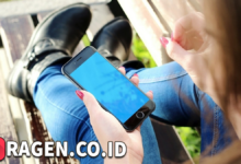 batch 1775297548 article 24 watermarked 1