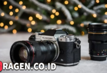 batch 1775297548 article 251 watermarked